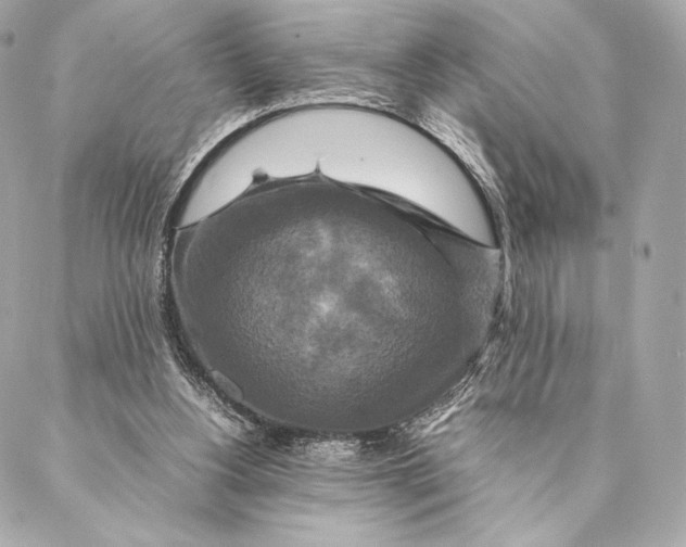 X0000087370156200705111719