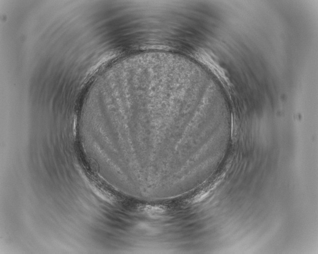 X0000087370157200705111719