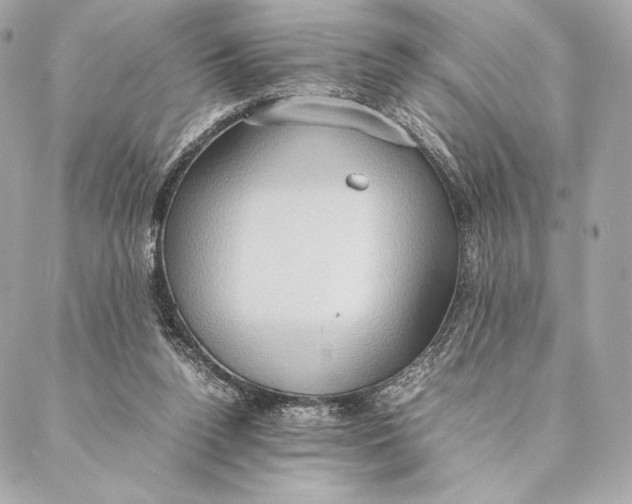 X0000087370160200705111719