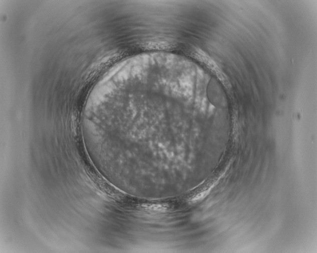 X0000087370161200705111719