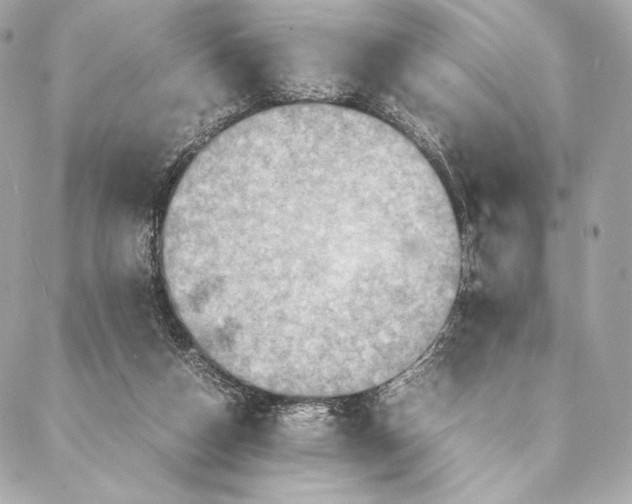 X0000087370162200705111719