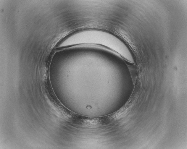 X0000087370164200705111719