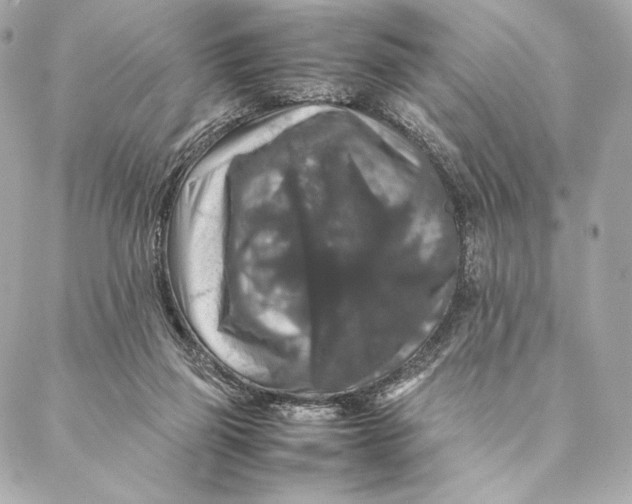 X0000087370165200705111719