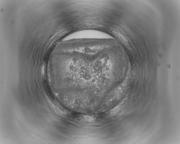 X0000087370166200705111719