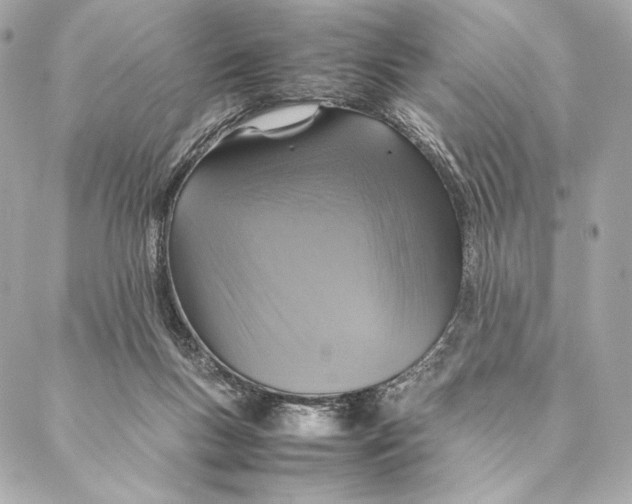 X0000087370167200705111719