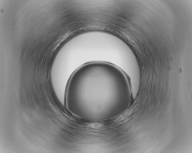 X0000087370168200705111719