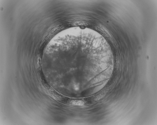 X0000087370169200705111719