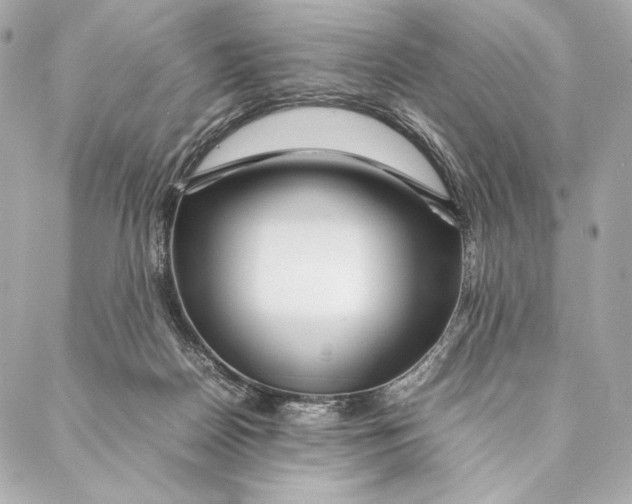 X0000087370170200705111719