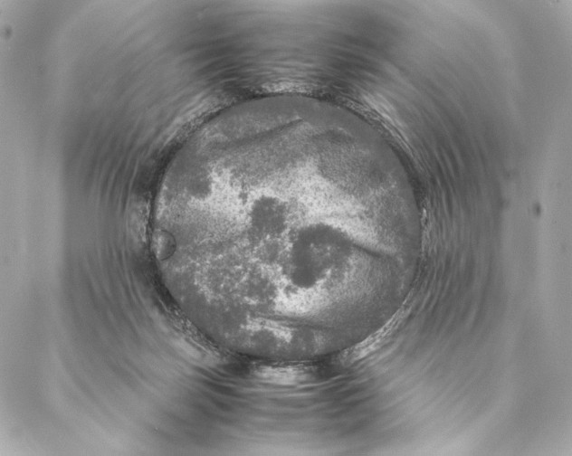 X0000087370171200705111719