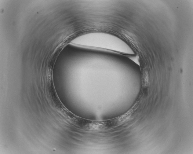 X0000087370172200705111719