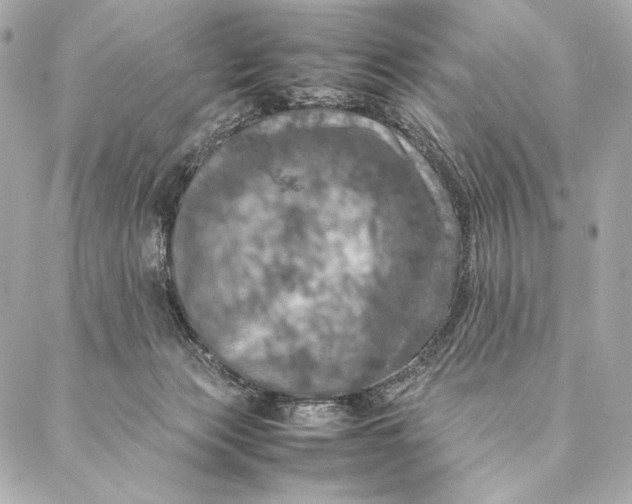 X0000087370173200705111719