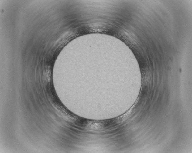 X0000087370174200705111719