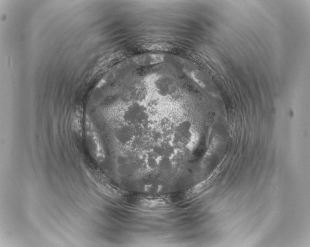 X0000087370175200705111719