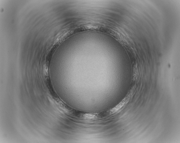 X0000087370176200705111719