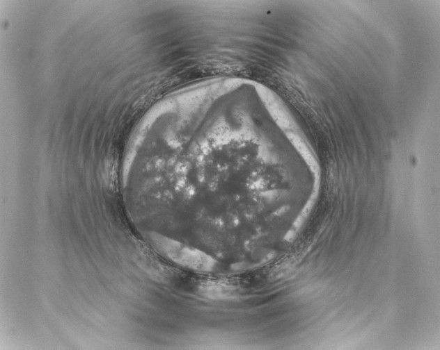 X0000087370177200705111719