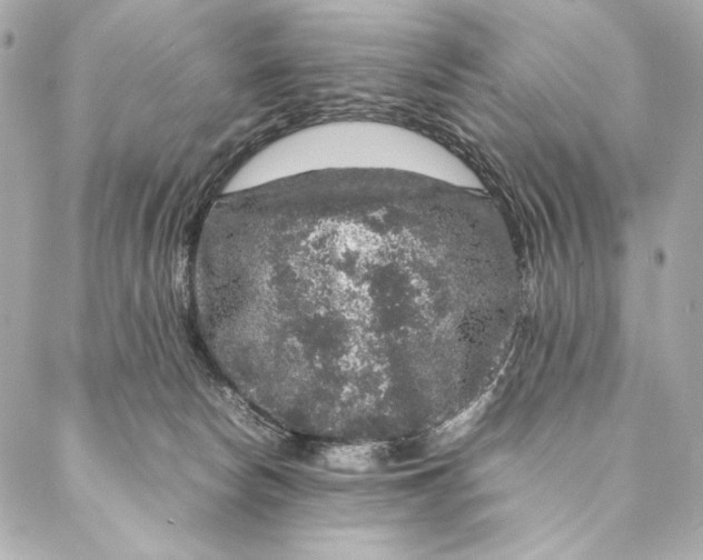 X0000087370178200705111719