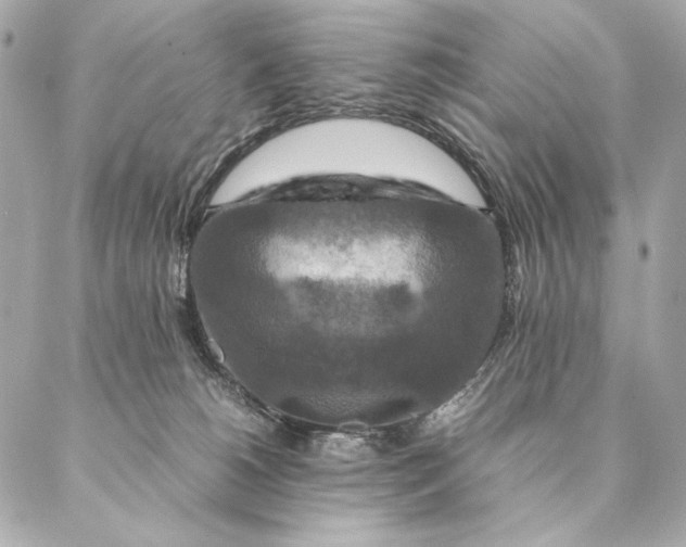 X0000087370180200705111719