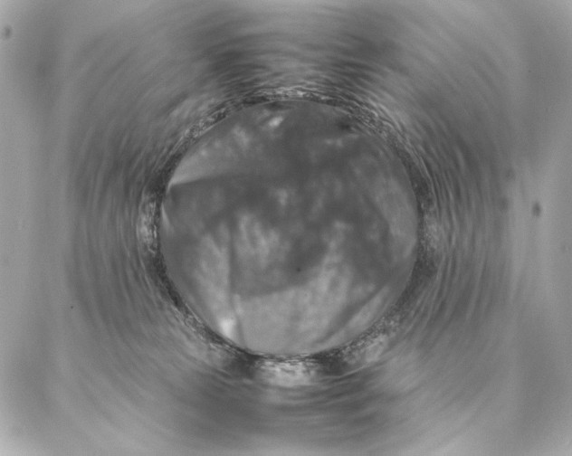 X0000087370181200705111719