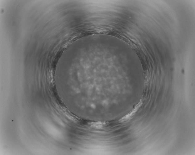 X0000087370182200705111719