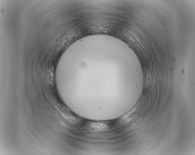 X0000087370183200705111719