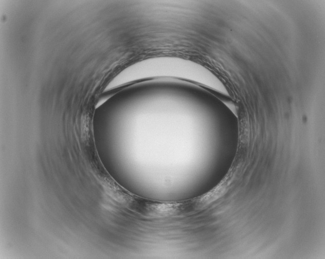 X0000087370184200705111719