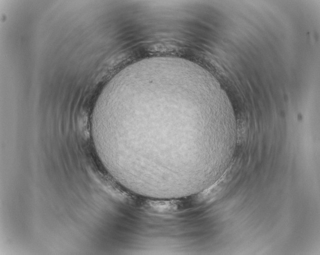 X0000087370187200705111719