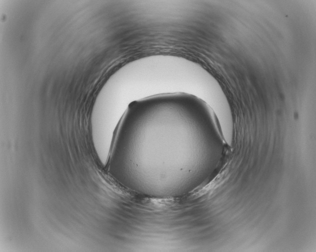 X0000087370188200705111719