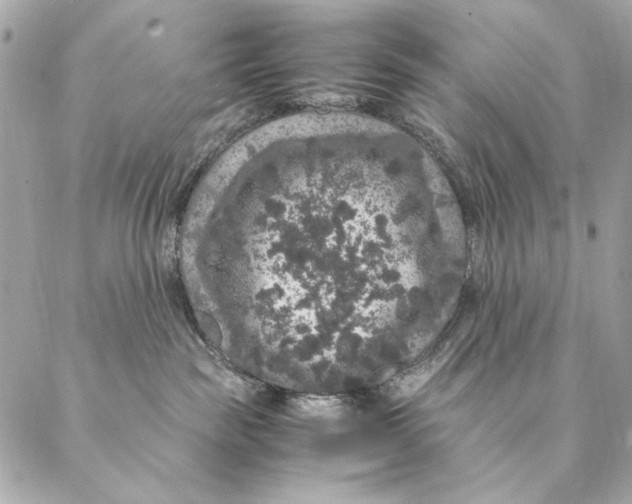 X0000087370189200705111719