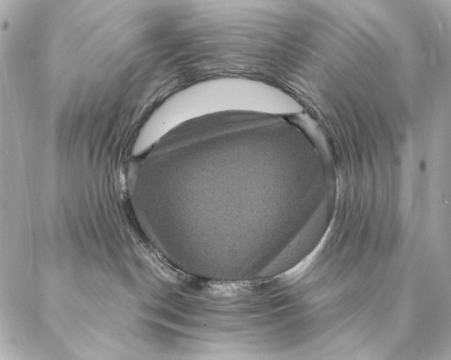 X0000087370190200705111719