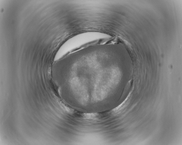 X0000087370192200705111720