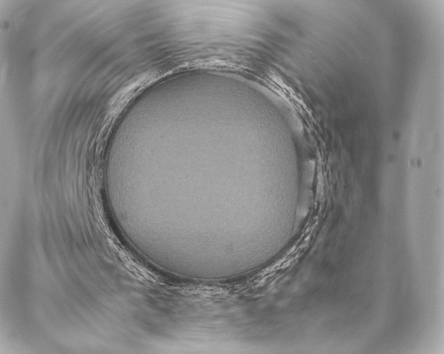 X0000087370193200705111719