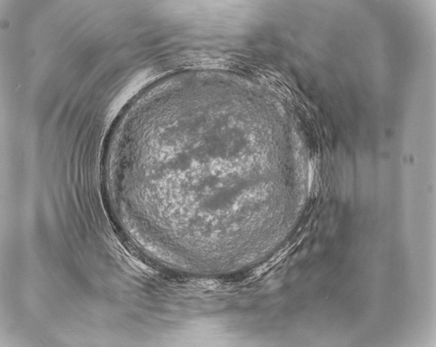 X0000087370195200705111719