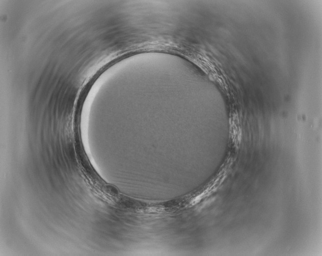 X0000087370196200705111719