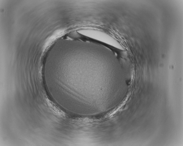 X0000087370197200705111719