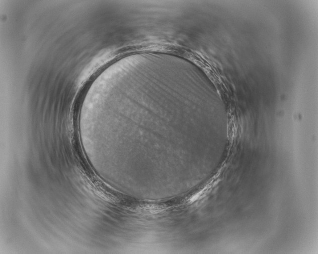 X0000087370198200705111719