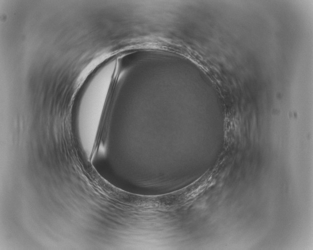 X0000087370200200705111719