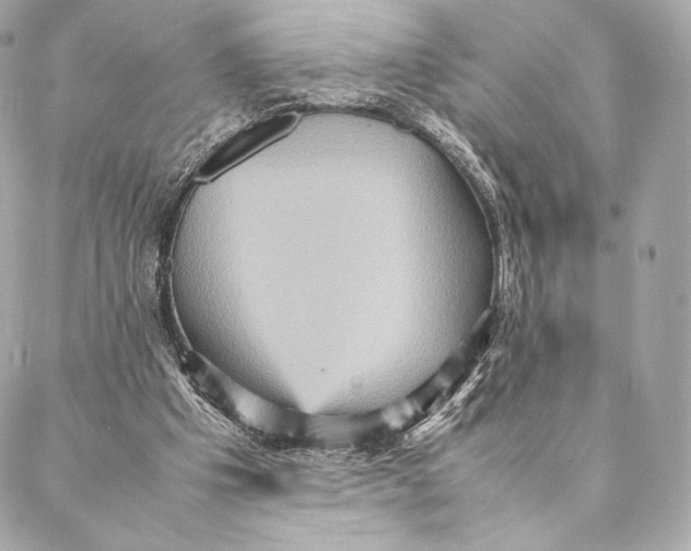 X0000087370201200705111719