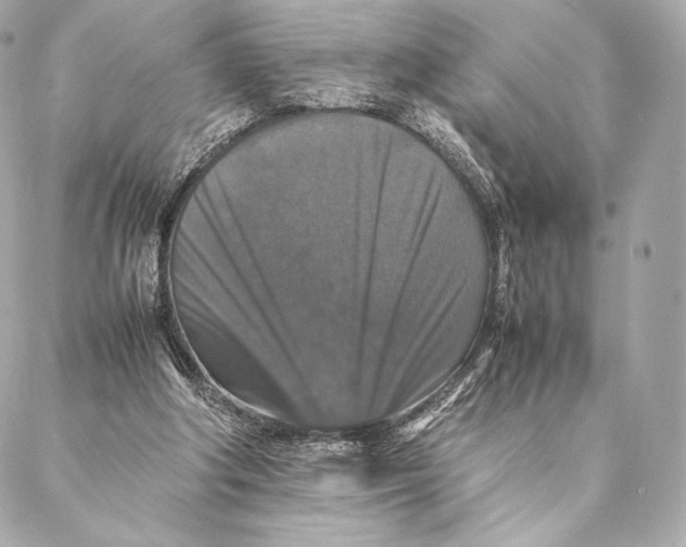 X0000087370202200705111719