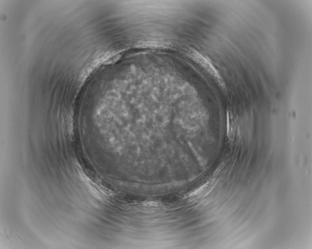 X0000087370204200705111719