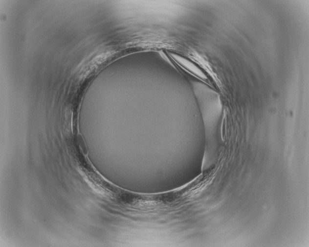 X0000087370205200705111719