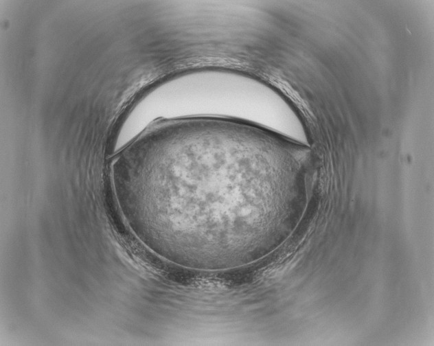 X0000087370207200705111719