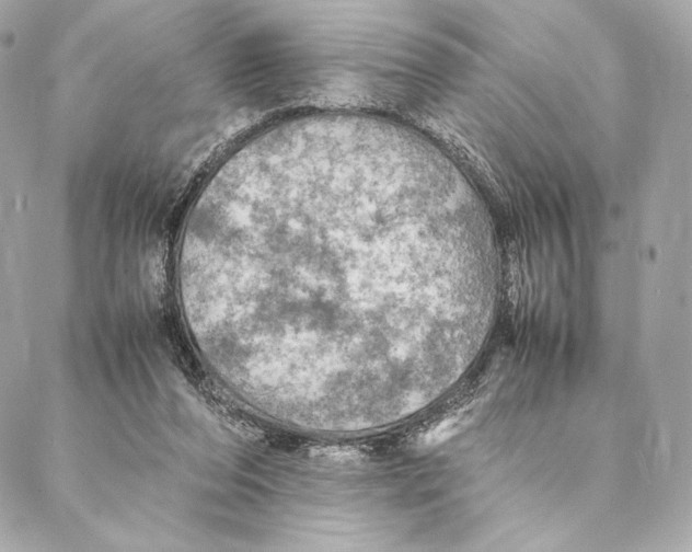 X0000087370208200705111718