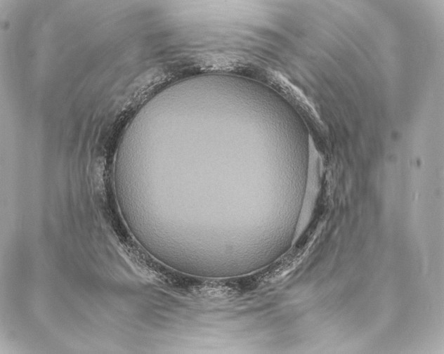 X0000087370209200705111718