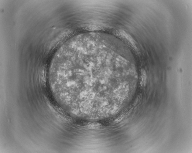 X0000087370210200705111718