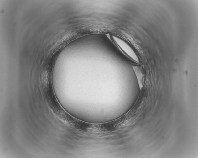 X0000087370211200705111718