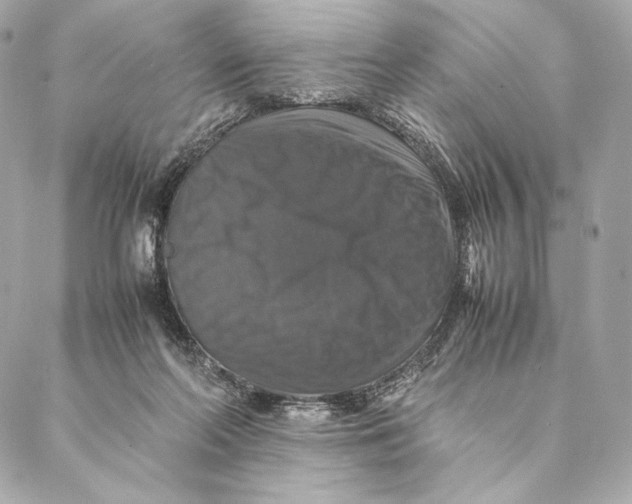 X0000087370214200705111718