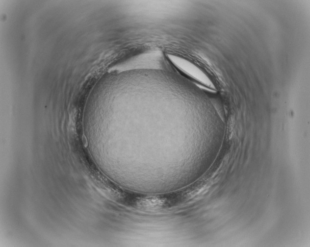 X0000087370217200705111718