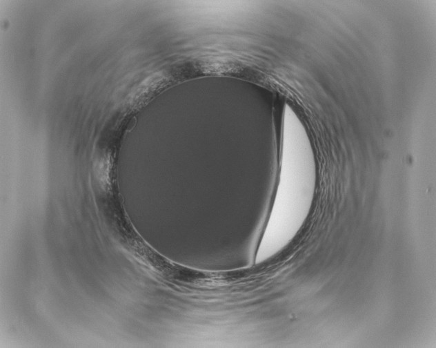 X0000087370219200705111718