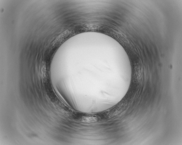 X0000087370220200705111718