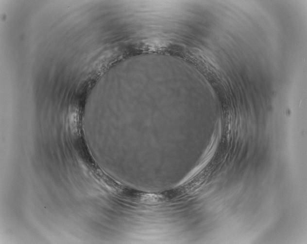 X0000087370222200705111718